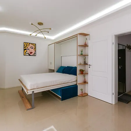 Zig-Zag Studio 23 *